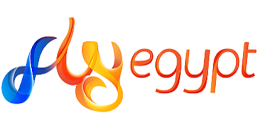 Airline Logo FEG Airline Logo FEG