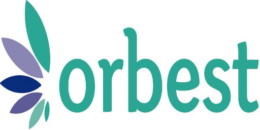 Airline Logo OBS Airline Logo OBS